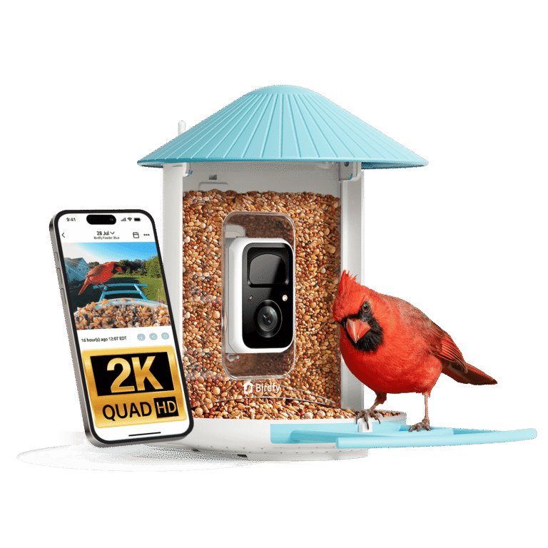 Birdfy Smart Feeder
