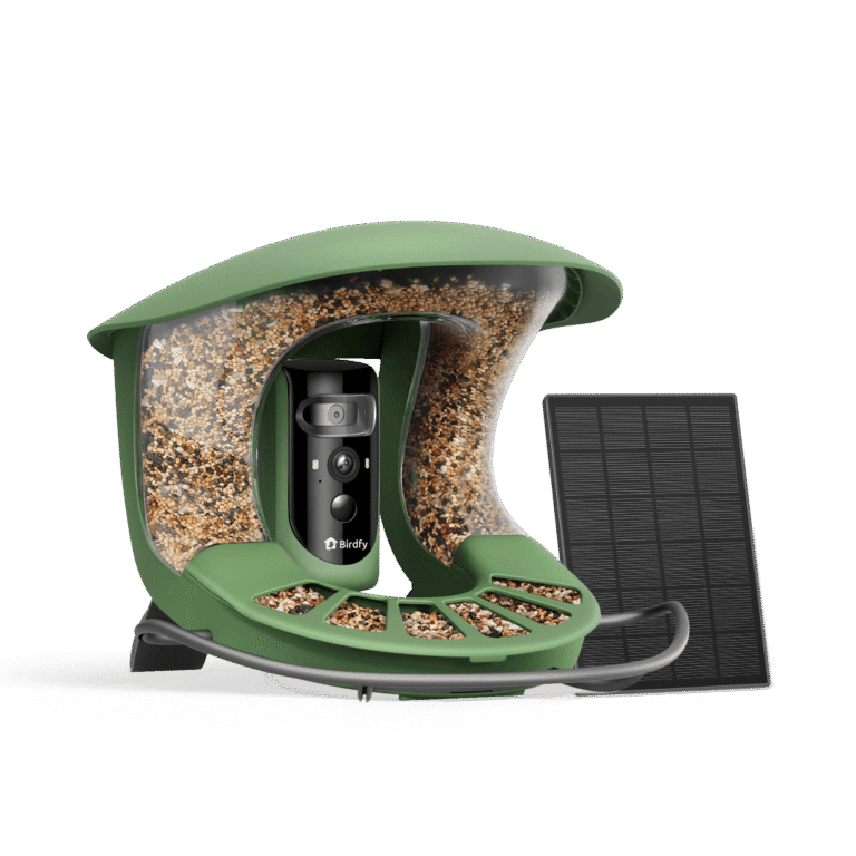 Birdfy Feeder 2 Pro – Dual-Lens Smart Bird Feeder with Camera